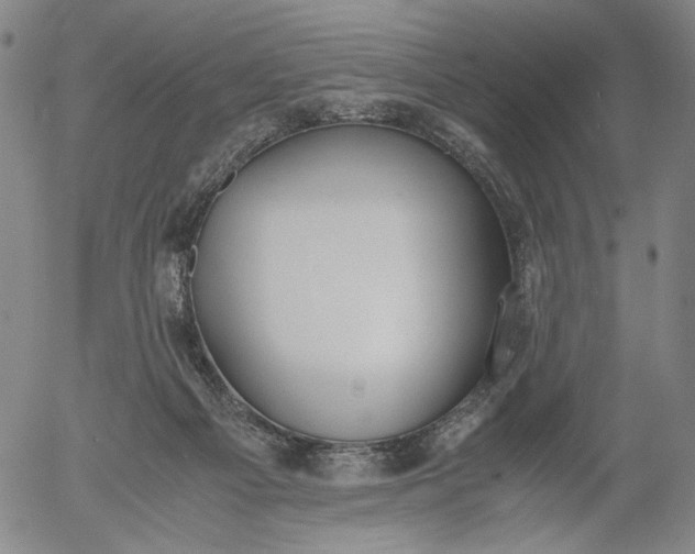 X0000056000121200509021714