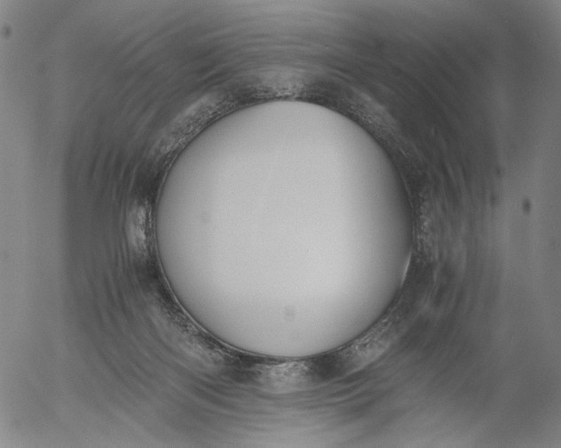 X0000056000122200509021714