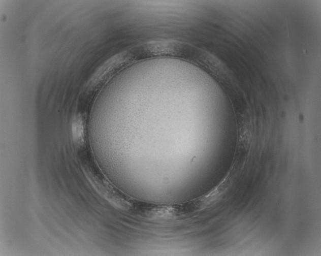 X0000056000124200509021714