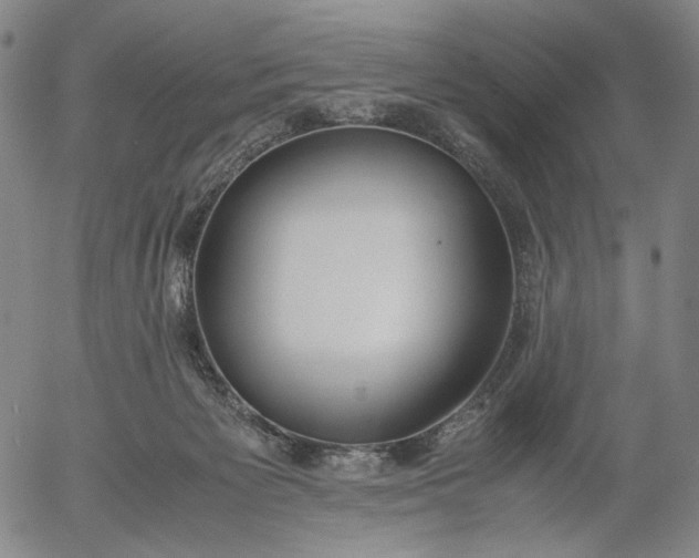 X0000056000125200509021714