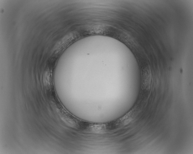 X0000056000126200509021714