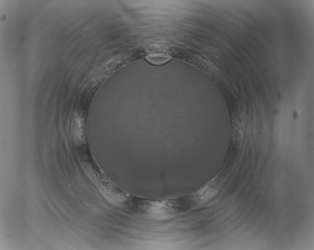 X0000056000130200509021714