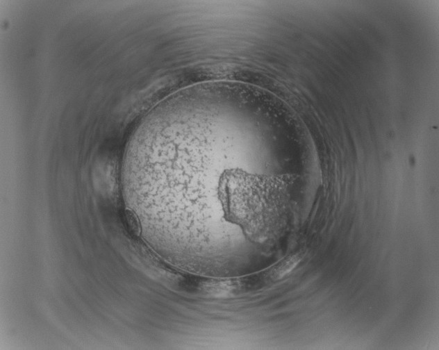 X0000056000131200509021714