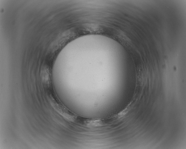 X0000056000132200509021714