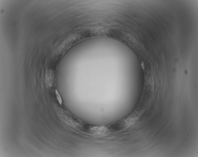 X0000056000133200509021714