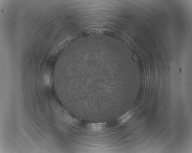 X0000056000134200509021714