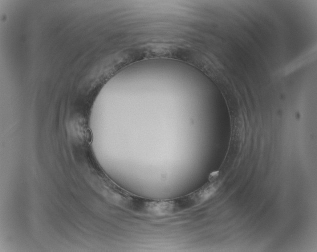 X0000056000135200509021714