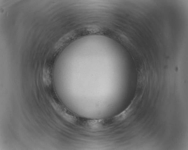 X0000056000136200509021714