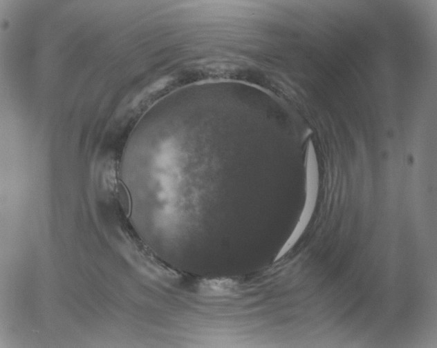 X0000056000137200509021714