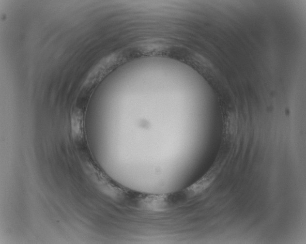 X0000056000138200509021714