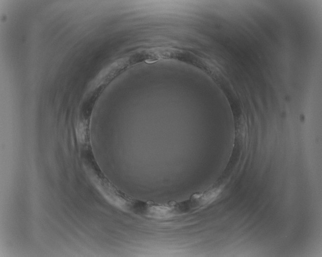 X0000056000139200509021714