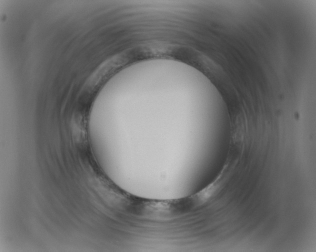 X0000056000140200509021714