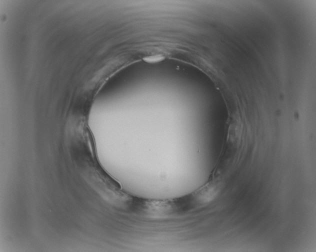 X0000056000141200509021714