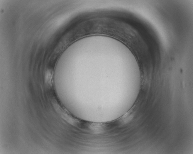 X0000056000142200509021714