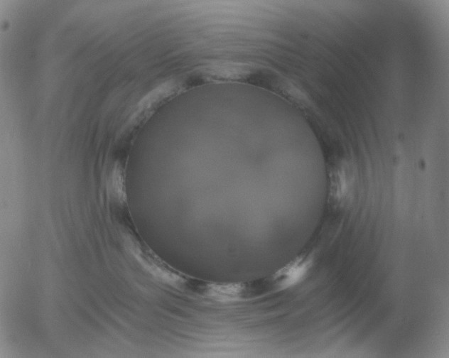 X0000056000143200509021714