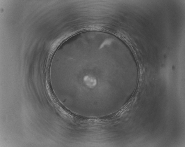 X0000056000145200509021713