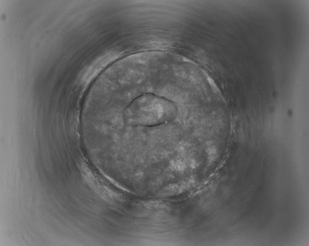 X0000056000146200509021713