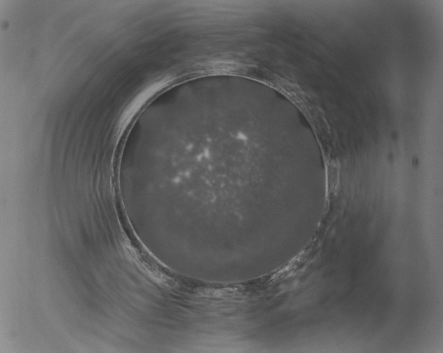 X0000056000147200509021713