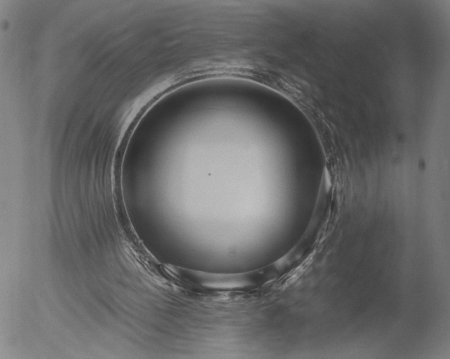 X0000056000148200509021713