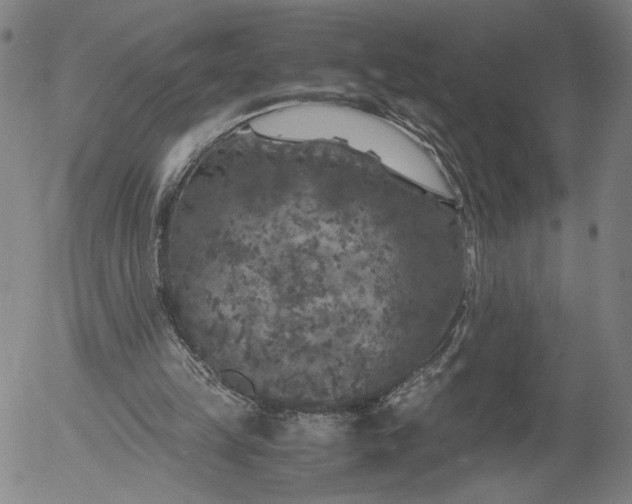 X0000056000149200509021713