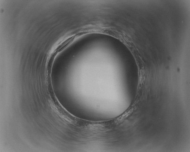 X0000056000150200509021713