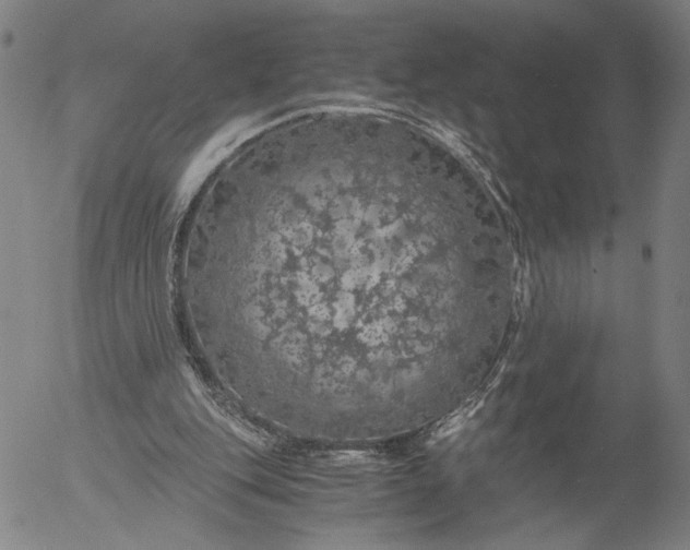 X0000056000151200509021713