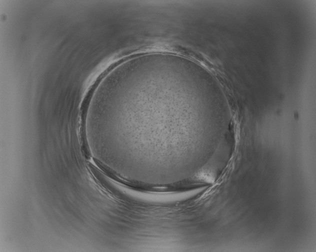 X0000056000152200509021713