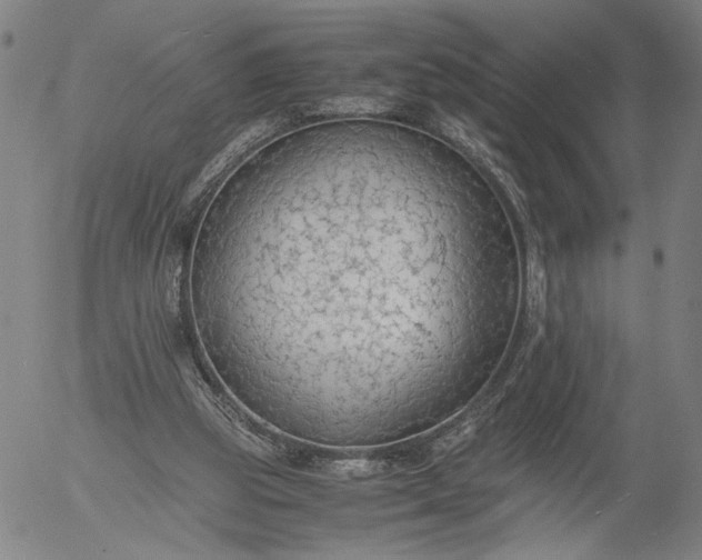 X0000056000153200509021713