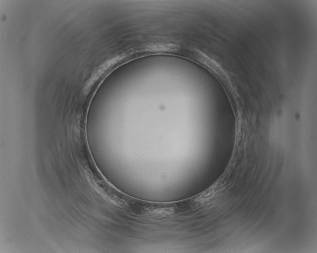 X0000056000155200509021713