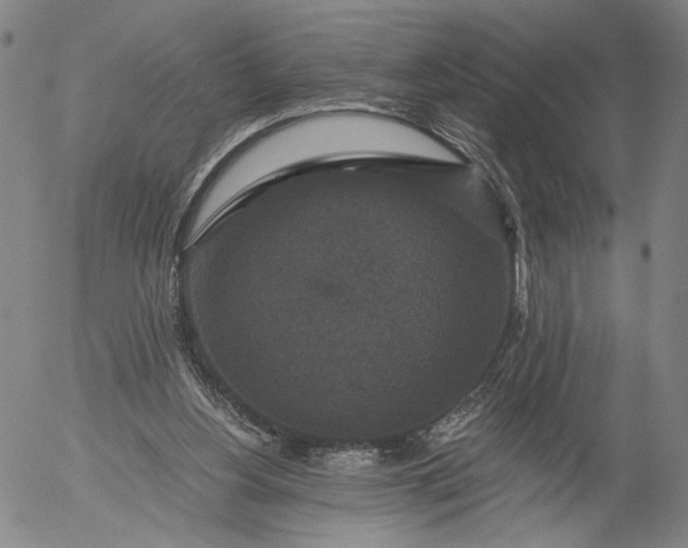 X0000056000156200509021713