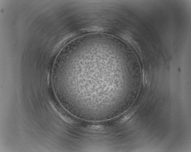 X0000056000157200509021713