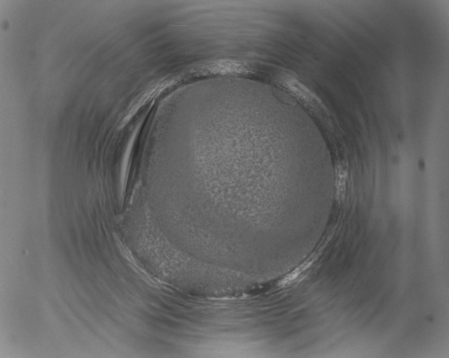 X0000056000158200509021713