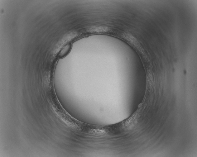 X0000056000159200509021713