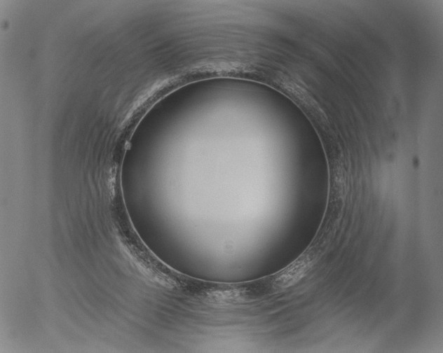 X0000056000160200509021713