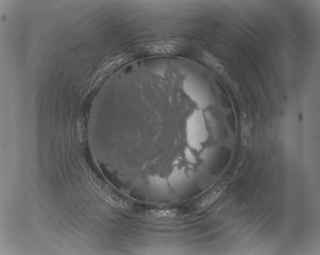 X0000056000161200509021713