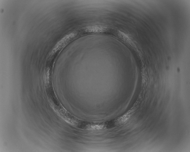 X0000056000163200509021713