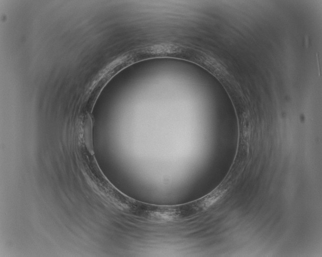 X0000056000164200509021713