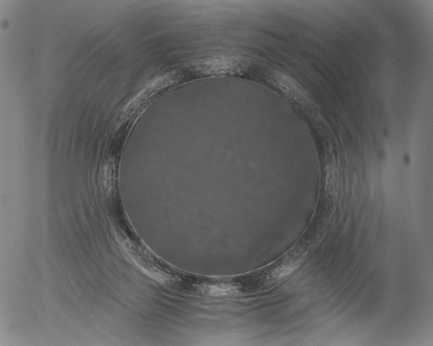 X0000056000165200509021713