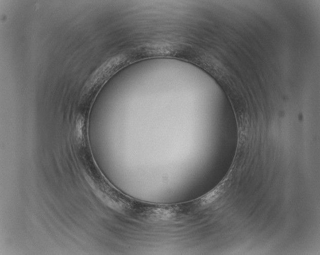 X0000056000166200509021713