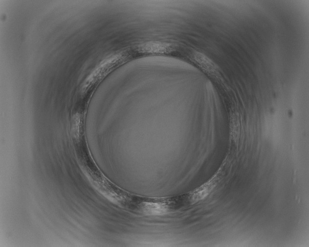 X0000056000167200509021713