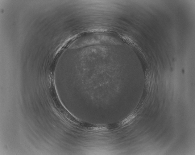 X0000056000168200509021713