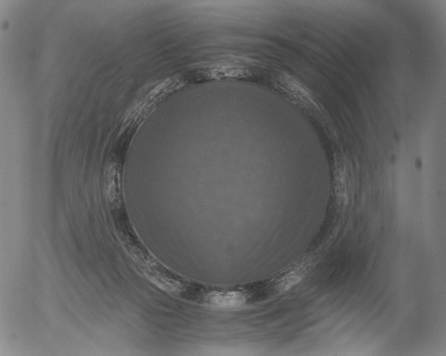 X0000056000169200509021713