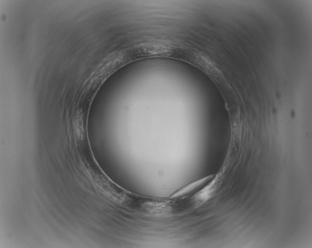 X0000056000170200509021713