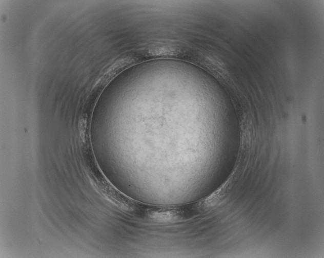 X0000056000171200509021713