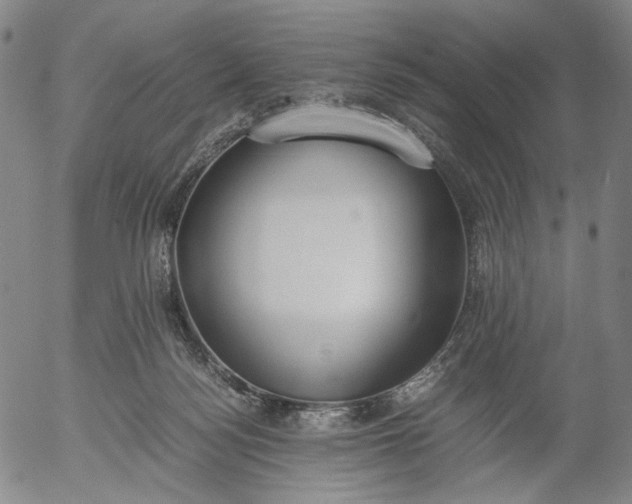 X0000056000172200509021713