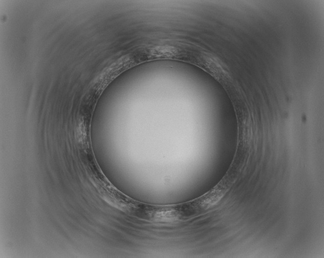 X0000056000173200509021713