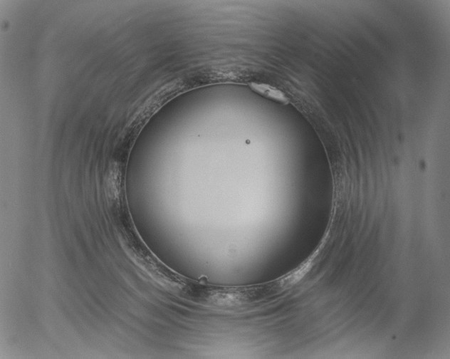 X0000056000174200509021713