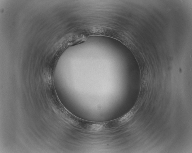 X0000056000176200509021713