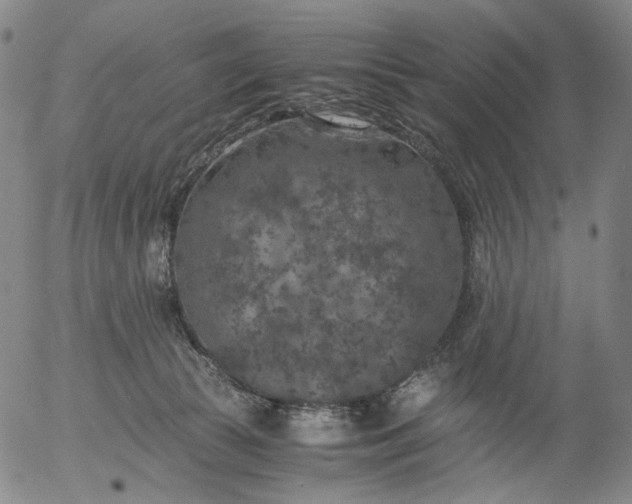 X0000056000177200509021713