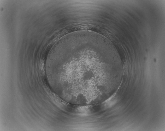 X0000056000178200509021713